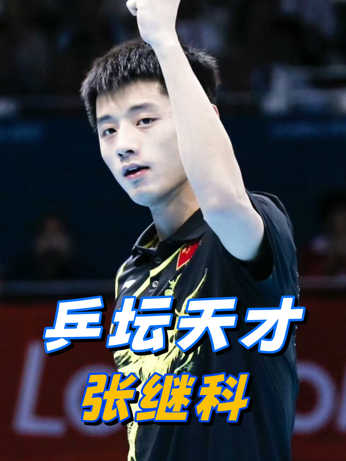 韩国乒乓球队横扫瑞典乒乓球队,张继科高光表现 韩国乒乓球队横扫瑞典乒乓球队,张继科高光表现