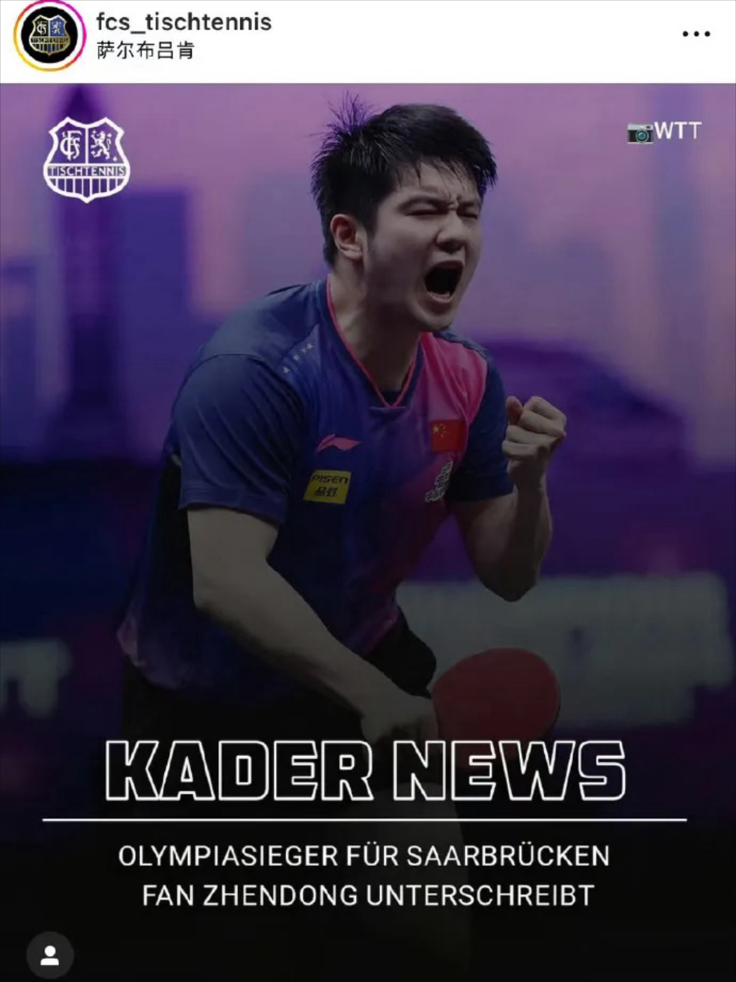 中国队横扫德国队，樊振东高光表现的简单介绍