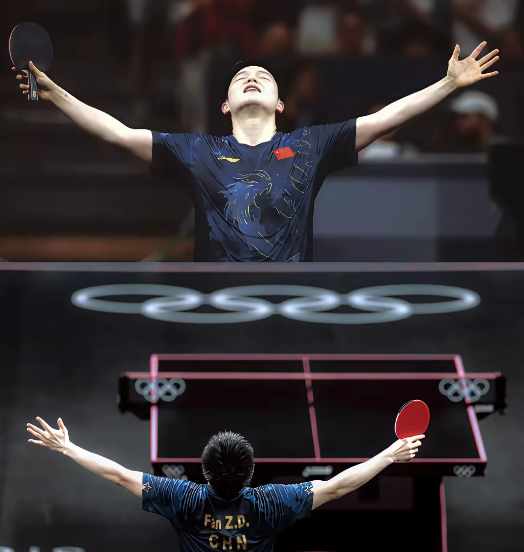 中国队横扫德国队，樊振东高光表现的简单介绍