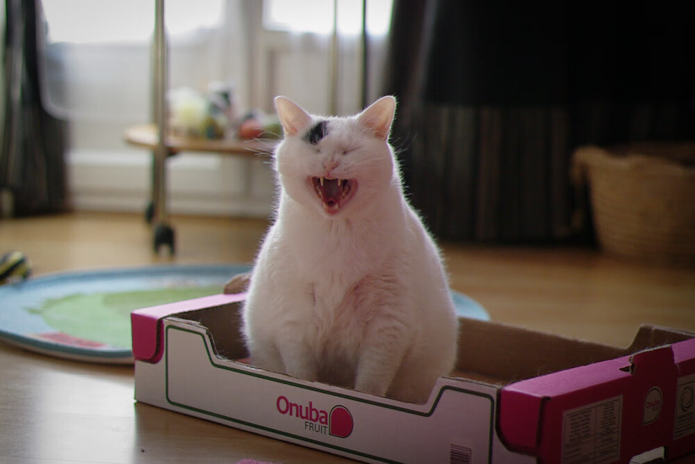 逆转王座！欧文手刃旧主，湖人史诗级攻防碾压篮网