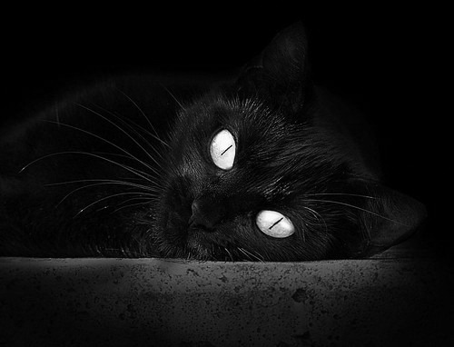 当吉林队的铁链缠上布鲁克林的翅膀,小贾伦用无解进攻写下悖论诗篇