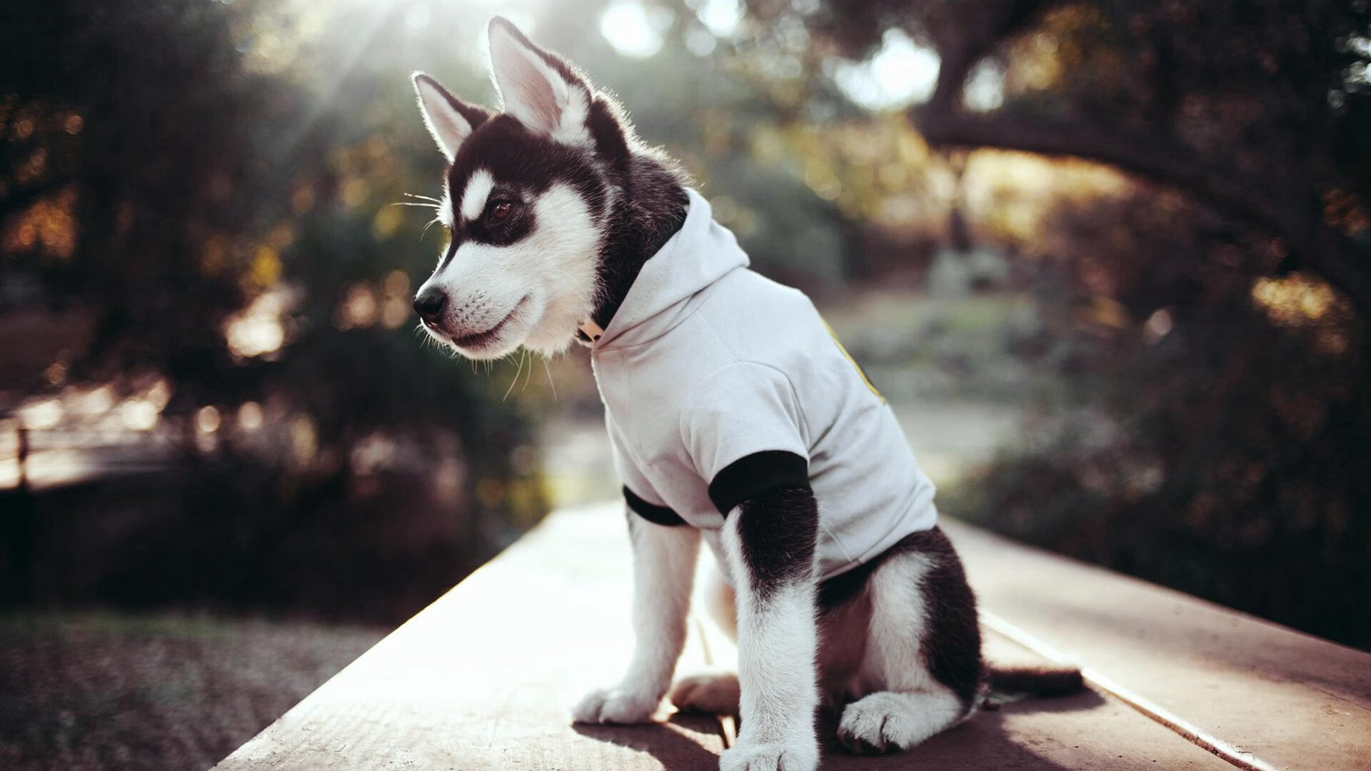 双线辉煌，莱比锡红牛完胜中国劲旅，阿克欧冠淘汰赛接管比赛