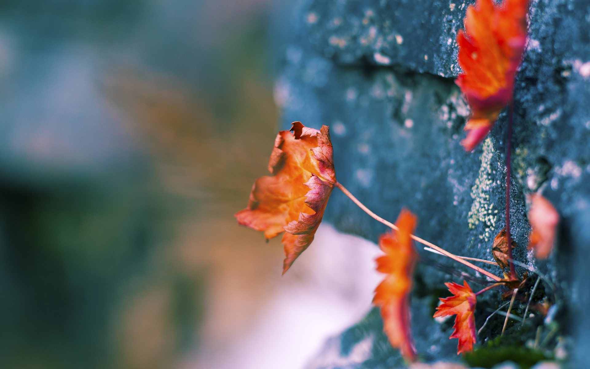 当数据预言颠覆传统,德国爆冷AC米兰,阿尔瓦雷斯如何用算法思维改写绿茵规则