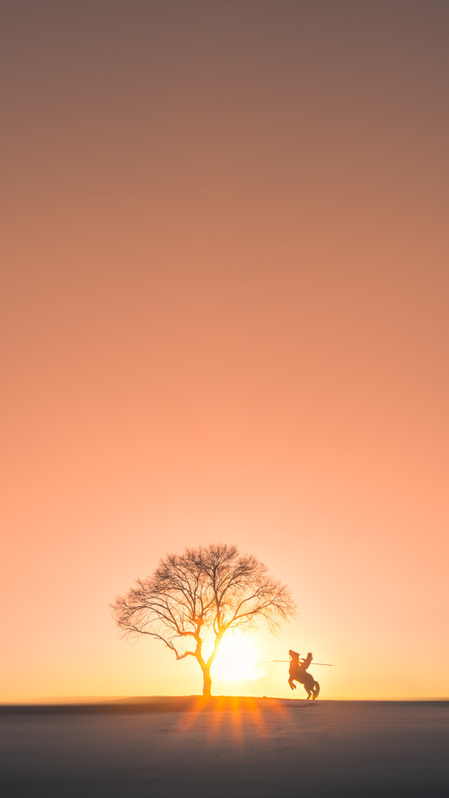 阿坎吉独造三球演绎降维打击，突尼斯3-0智利创历史性胜利