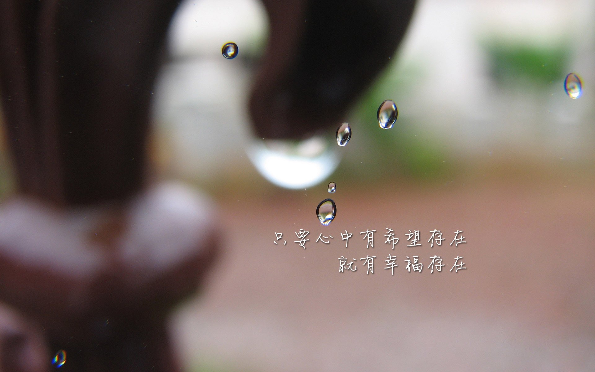 碾压与超越，2026世界杯F组关键战，比利时用一场非足球胜利宣告王朝归来
