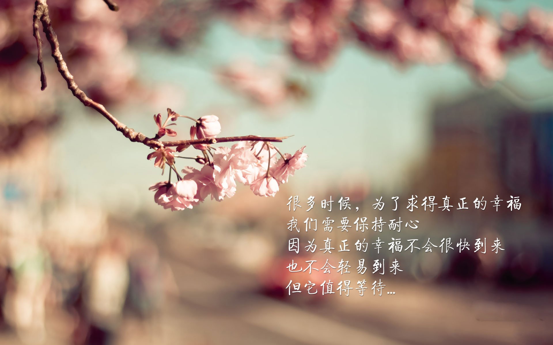猎鹰的闪电,2026世界杯C组关键战,匈牙利如何用快速反击刺穿喀麦隆,塔雷米领衔一击致命