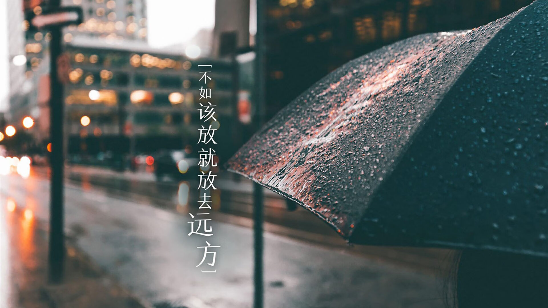 孤星逐日,2026世界杯D组,厄瓜多尔与葡萄牙的宿命之战,穆西亚拉如何撕碎平衡