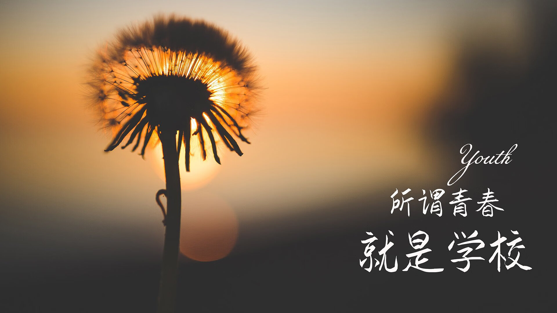 唯一之夜，当哈兰德在印度与突尼斯的揭幕战中重新定义世界杯